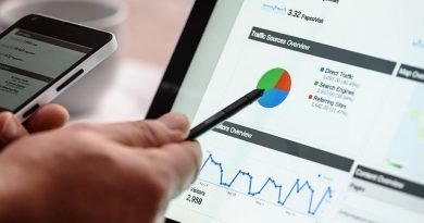 Top SEO plan for free lancers Web Developer