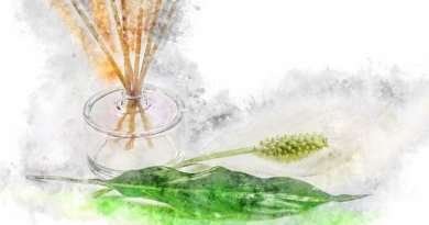 Beautiful Body Made Easy With Simple Aromatherapy Blends,Experts Advice