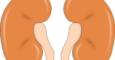 Two Kidneys But Merely Demand One Renal To Reside